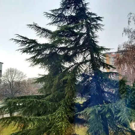 ¤george's Cosy Apartment¤ Apartament Skopje