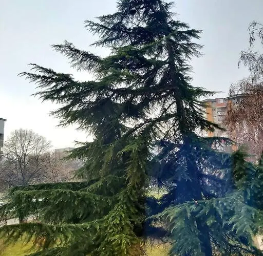 ¤george's Cosy Apartment¤ Apartament Skopje